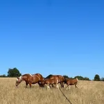 Au Bout Du Chemin