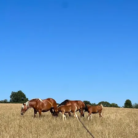 Au Bout Du Chemin