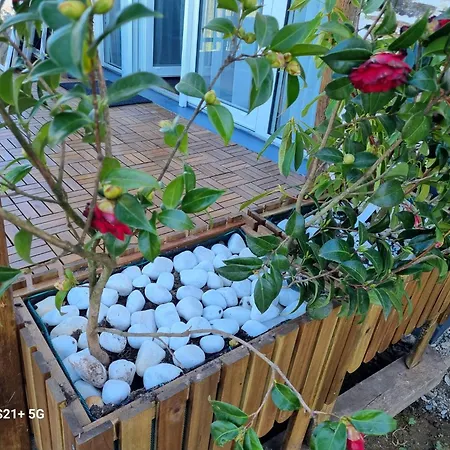 Au Bout Du Chemin Penzion Réquista